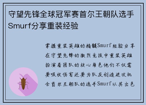 守望先锋全球冠军赛首尔王朝队选手Smurf分享重装经验