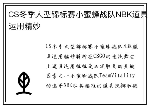 CS冬季大型锦标赛小蜜蜂战队NBK道具运用精妙